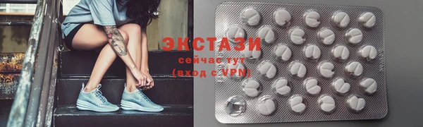 ECSTASY Богданович