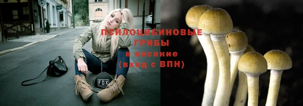apvp Бронницы