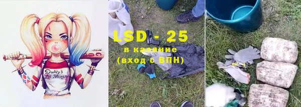 ECSTASY Богданович