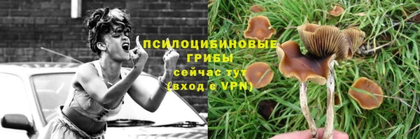 apvp Бронницы