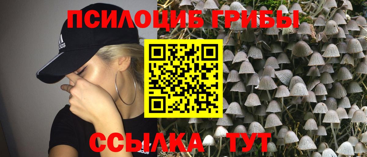 Галлюциногенные грибы Psilocybe  Вход с VPN  Обь 