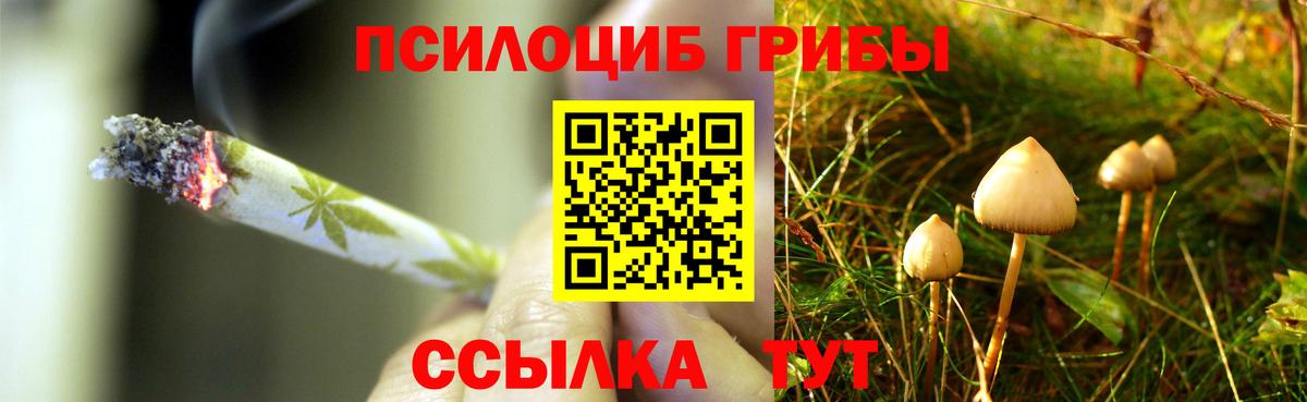 Галлюциногенные грибы ЛСД Обь